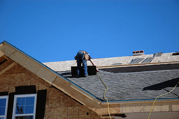 Best Roof Moss and Algae Removal  in Watkins Glen, NY