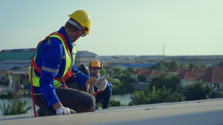 Best Sheet Metal Roofing  in Watkins Glen, NY