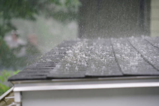 Best Roof Coating and Sealing  in Watkins Glen, NY